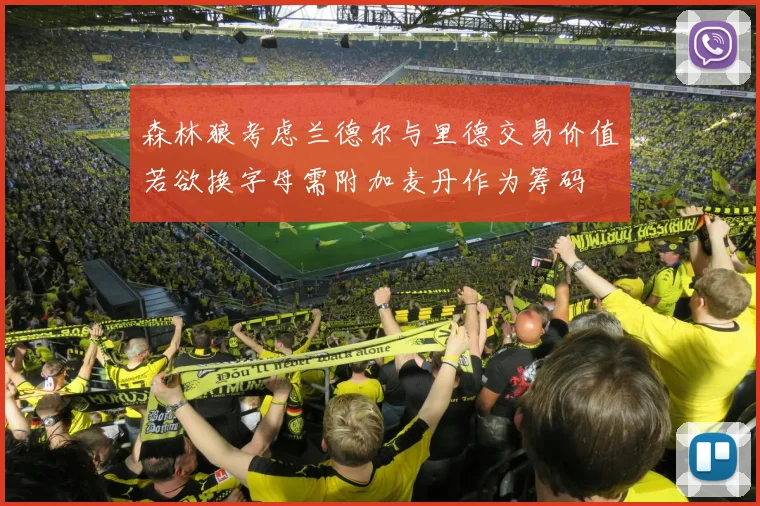 森林狼考虑兰德尔与里德交易价值若欲换字母需附加麦丹作为筹码