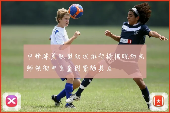 中锋球员联盟助攻排行榜揭晓约老师领衔申京奎因紧随其后