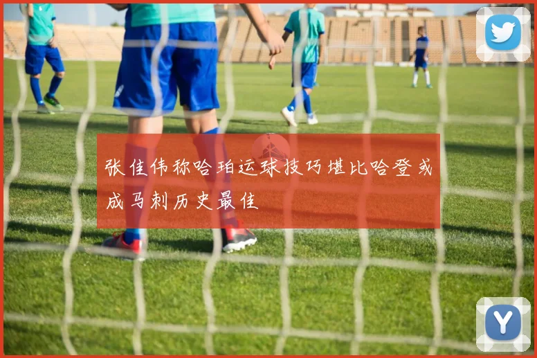 张佳伟称哈珀运球技巧堪比哈登或成马刺历史最佳