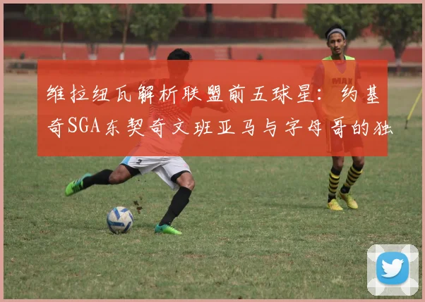 维拉纽瓦解析联盟前五球星：约基奇SGA东契奇文班亚马与字母哥的独特魅力
